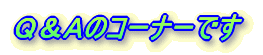 �p���`�̃R�[�i�[�ł�