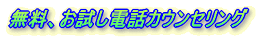 �����A�������d�b�J�E���Z�����O