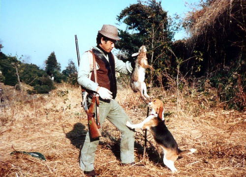 ランカスタービーグルス猟犬訓練所 ビーグル犬里親募集中 ランカスター卒業生 神奈川県小田原市早川